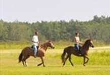 Horseback Riding Countryside
